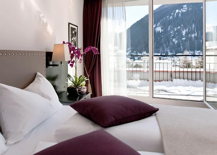 酒店 莫罗萨尼施威策霍夫酒店