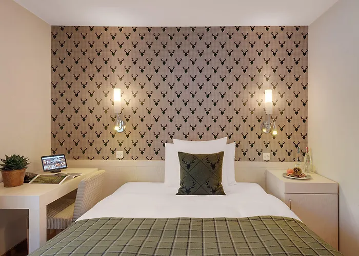 莫罗萨尼施威策霍夫酒店 4*