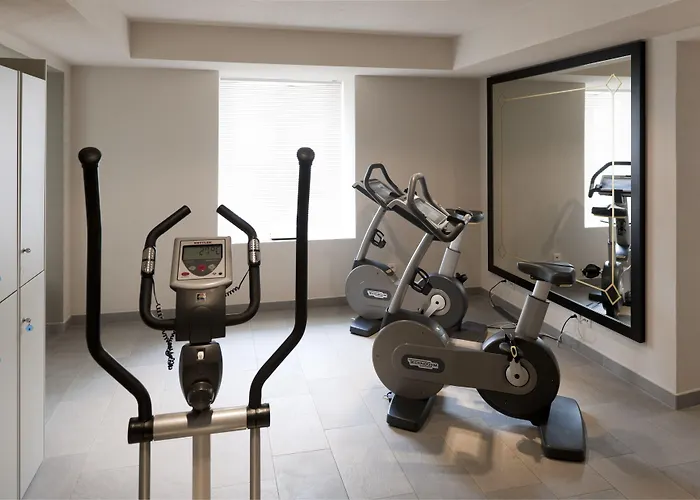 莫罗萨尼施威策霍夫酒店 4*