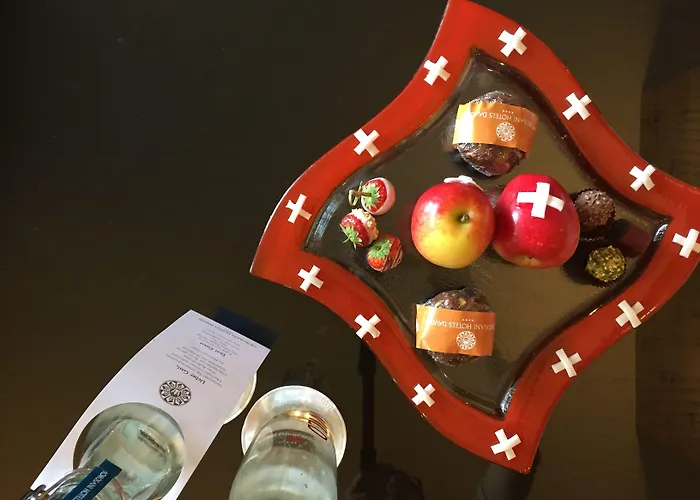 莫罗萨尼施威策霍夫酒店 酒店 4*