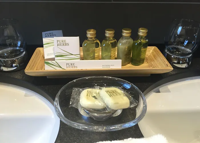 莫罗萨尼施威策霍夫酒店 4* 达沃斯