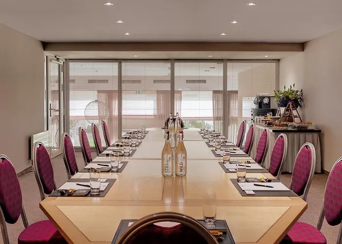 莫罗萨尼施威策霍夫酒店 达沃斯